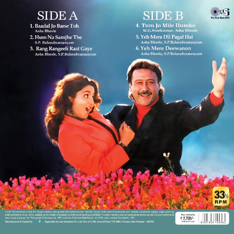 Gardish vinyl record